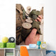 Marine Cradles Handfuls 40 Wall Decal