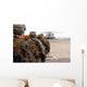 Marines and Sailors Progress Wall Decal