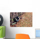 Marksman Observer Relays Intelligence Wall Decal