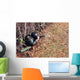 Marksman Observer Relays Intelligence Wall Decal