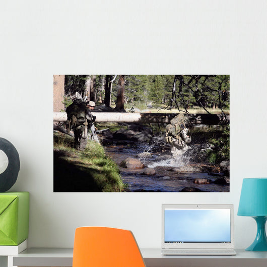Marines Splash across Stream Wall Decal
