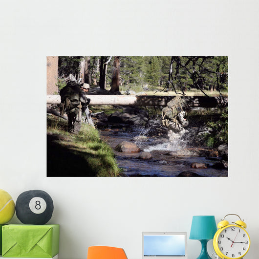 Marines Splash across Stream Wall Decal