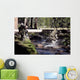 Marines Splash across Stream Wall Decal