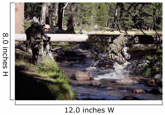 Marines Splash across Stream Wall Decal
