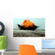 Explosion Erupts from Detonation Wall Decal