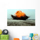 Explosion Erupts from Detonation Wall Decal