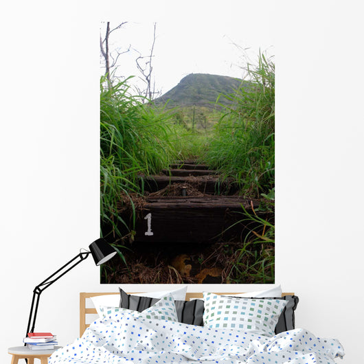 First Step Invites Hikers Wall Decal