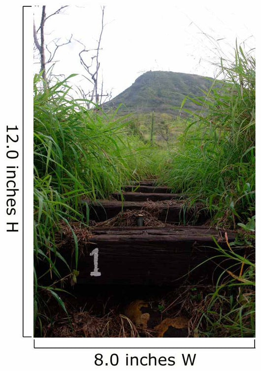 First Step Invites Hikers Wall Decal