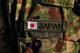 Close-up Japanese Ground Self Wall Decal