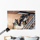 Infantry Scouts Go up Wall Decal