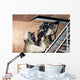 Infantry Scouts Go up Wall Decal
