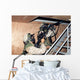 Infantry Scouts Go up Wall Decal