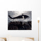 Mh-60s Seahawk Helicopter Conducts Wall Decal