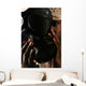 Nuclear Biological and Chemical Wall Decal