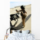 Soldier Carries 762 Mm Wall Decal