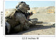 Marine Fires M16a2 Service Wall Decal