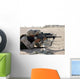 Marine Fires Their M16a2 Wall Decal