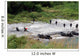 Philippine Marines Assault Beach Wall Decal