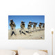 Military Transition Team Members Wall Decal