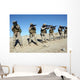 Military Transition Team Members Wall Decal