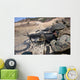 Corpsman Fires M249 Squad Wall Decal