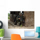 Us Marines Prepare to Wall Decal