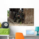 Us Marines Prepare to Wall Decal