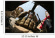 Marine Rocks His M-2 Wall Decal Design 2