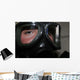 Marine Glares through Limited-spaced Wall Decal