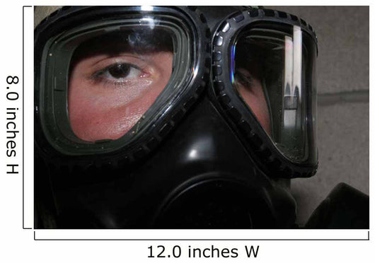 Marine Glares through Limited-spaced Wall Decal