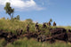 Marines Patrol Australian Outback Wall Decal