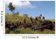 Marines Patrol Australian Outback Wall Decal