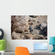 Us Army Soldier Walks Wall Decal