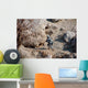 Us Army Soldier Walks Wall Decal