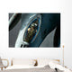 F-16 Fighting Falcon Wall Decal