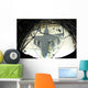C-17 Globemaster Iii Sits Wall Decal Design 2