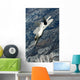 F-22 Raptor Flight Wall Decal