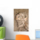 Skeletal Remains Discovered during Wall Decal