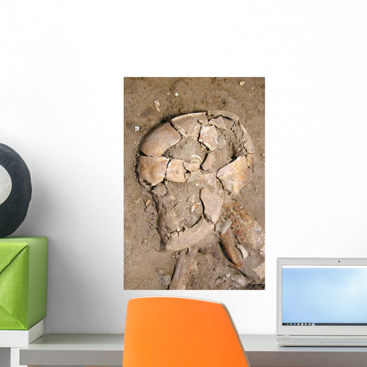 Skeletal Remains Discovered during Wall Decal