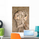 Skeletal Remains Discovered during Wall Decal