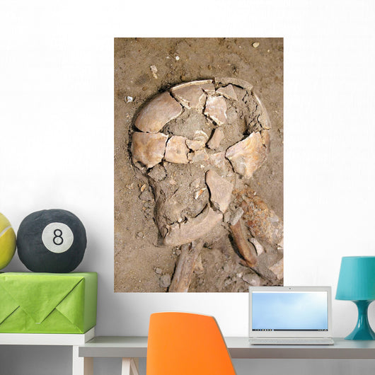 Skeletal Remains Discovered during Wall Decal