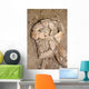 Skeletal Remains Discovered during Wall Decal