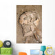 Skeletal Remains Discovered during Wall Decal