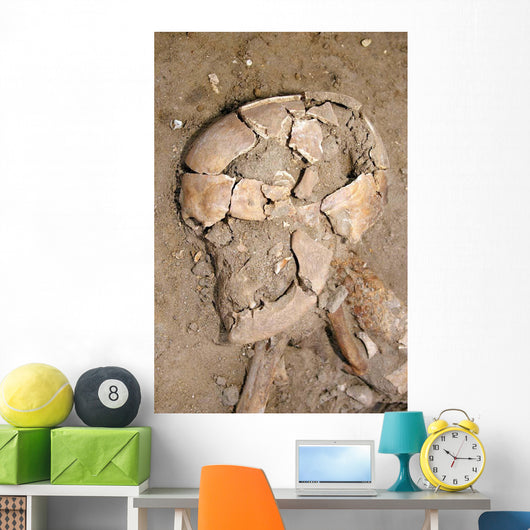 Skeletal Remains Discovered during Wall Decal