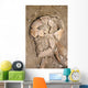 Skeletal Remains Discovered during Wall Decal