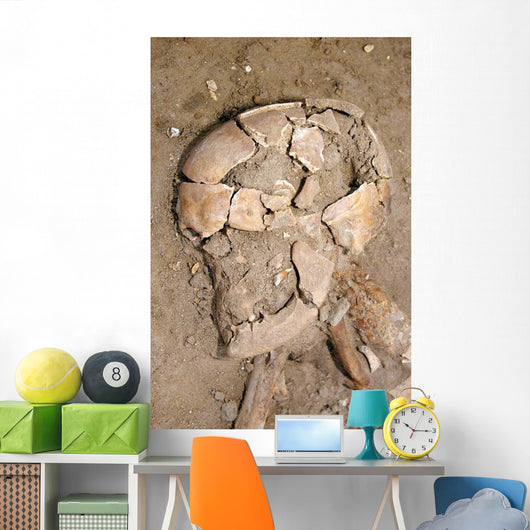 Skeletal Remains Discovered during Wall Decal