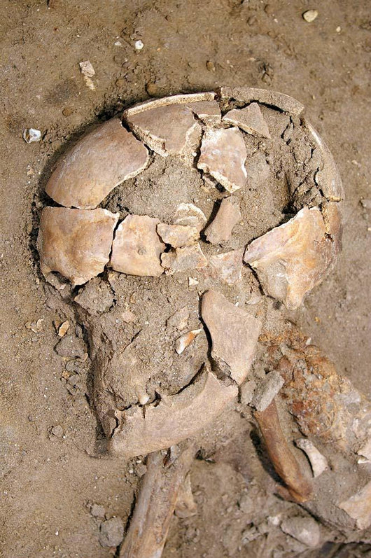 Skeletal Remains Discovered during Wall Decal