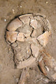 Skeletal Remains Discovered during Wall Decal