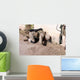 Combat Engineer Searches for Wall Decal