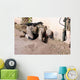 Combat Engineer Searches for Wall Decal